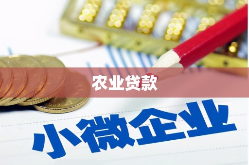 溪湖农业贷款
