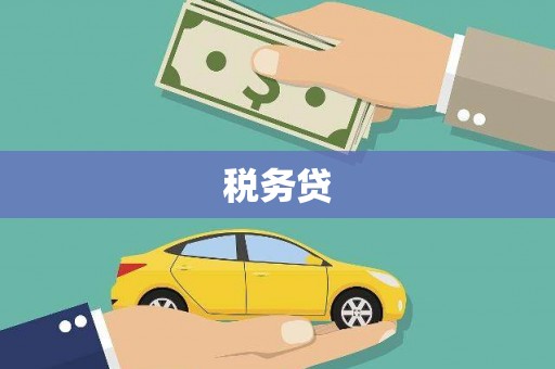 溪湖税务贷
