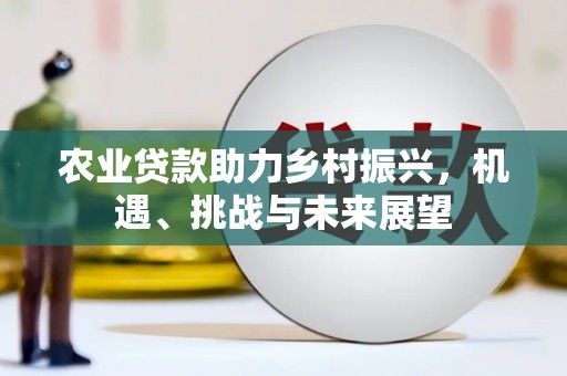溪湖农业贷款助力乡村振兴，机遇、挑战与未来展望