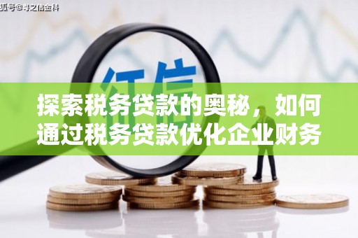 溪湖探索税务贷款的奥秘，如何通过税务贷款优化企业财务