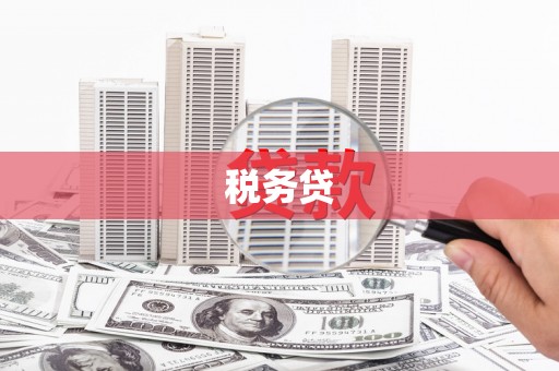 溪湖税务贷