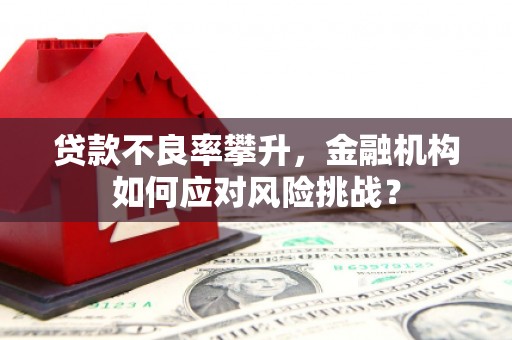 溪湖贷款不良率攀升，金融机构如何应对风险挑战？