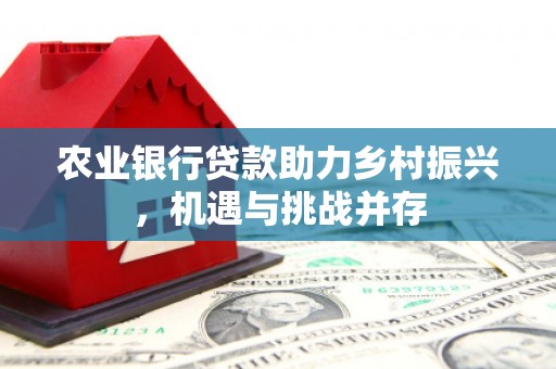 溪湖农业银行贷款助力乡村振兴，机遇与挑战并存