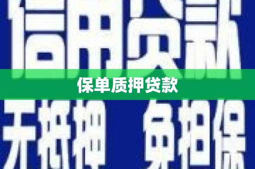 溪湖保单质押贷款
