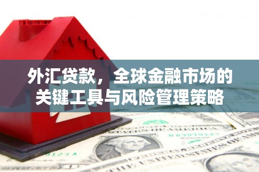 溪湖外汇贷款，全球金融市场的关键工具与风险管理策略