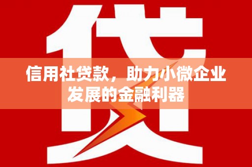 溪湖信用社贷款，助力小微企业发展的金融利器
