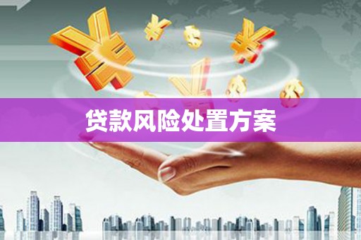 溪湖贷款风险处置方案