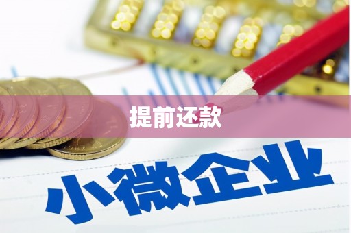 溪湖提前还款